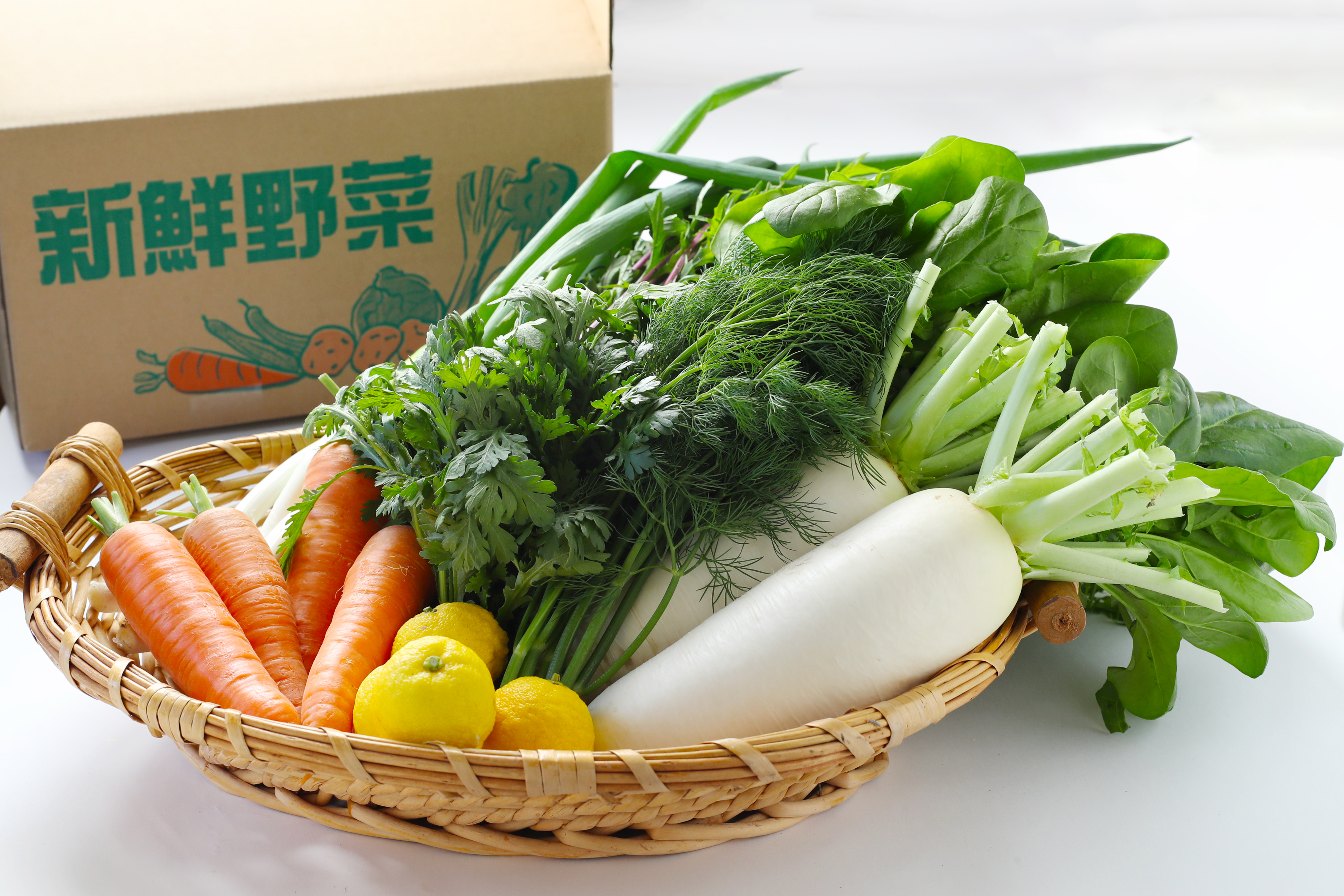 羽島の旬の​​​​​​​お野菜詰め合わせ　おまかせセット